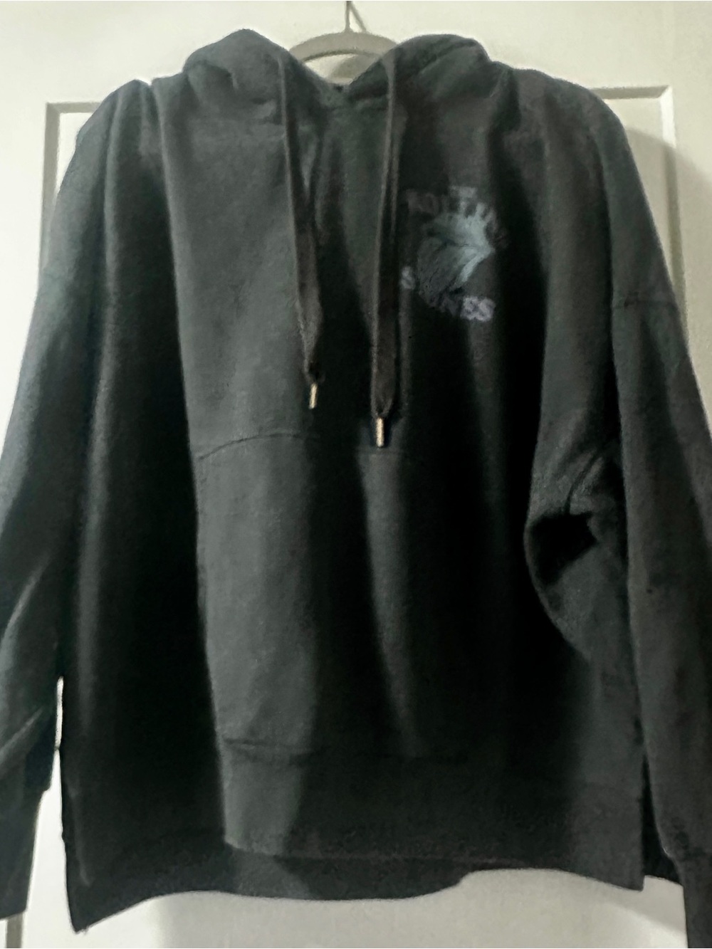 American Eagle Rolling Stones Hoodie